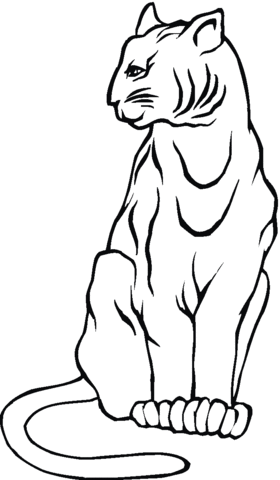 Lynx 17 Coloring Page